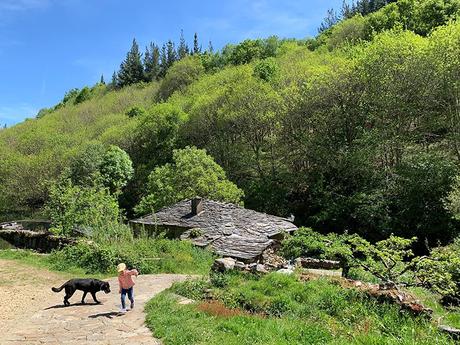 ▷ 8 planes para disfrutar con tu mascota en Asturias ✅ d5b0404b-f582-4be3-a0b8-9c6d903da4a3?t=1560927589052 ▷ 8 planes para disfrutar con tu mascota en Asturias ✅