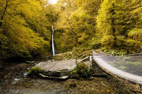 best-hikes-in-Dartmoor-National-Park-Lydford-Gorge-1024x683 ▷ Las 10 mejores excursiones en el Parque Nacional Dartmoor