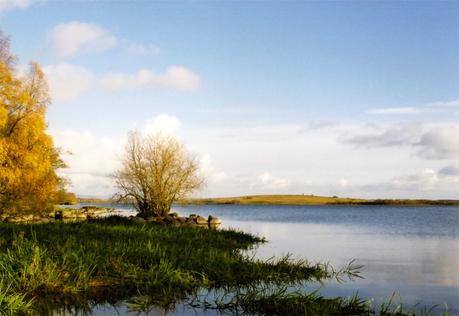 FL ▷ Comentarios sobre cosas que hacer en Irlanda del Norte por sugerencias privilegiadas para actividades en Irlanda del Norte - Invierno