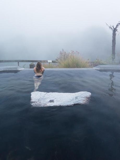 new-zealand-road-trip-driving-tips ▷ Alquilando un auto en Nueva Zelanda: 10 consejos que debe saber