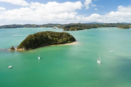 how-to-drive-in-new-zealand ▷ Alquilando un auto en Nueva Zelanda: 10 consejos que debe saber