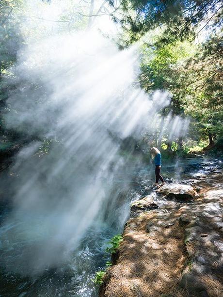 new-zealand-car-rental-tips ▷ Alquilando un auto en Nueva Zelanda: 10 consejos que debe saber