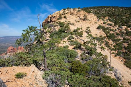 Bear-Mountain-Trail-9.jpg.optimal ▷ Senderismo Bear Mountain Trail en Sedona, Arizona