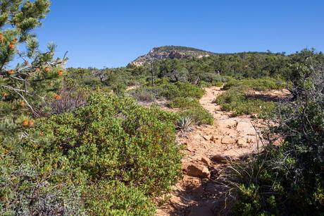 Bear-Mountain-Trail-7.jpg.optimal ▷ Senderismo Bear Mountain Trail en Sedona, Arizona