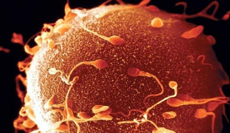 ¿Cuál es el fin de nacer? ¿Cuál es el fin de nacer?