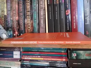 Reseña: Querida Ijeawele Cómo educar en el feminismo