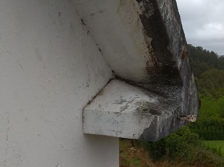 Si copias, copia bien Si copias, copia bien