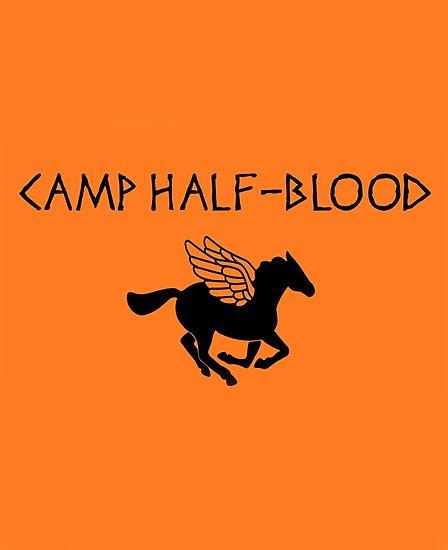 Resultado de imagen de campamento mestizo