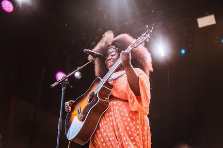 Pip Festival 2019 Pip Festival 2019