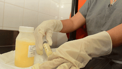 Leche humana: se pasteurizaron 1300 litros en tres años