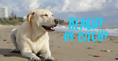 ¿Beach or Bitch? ¿Cuál es la diferencia? El fonema i en inglés