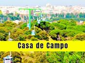 Casa Campo Madrid