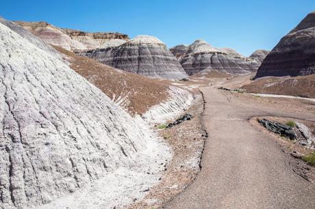Best-Things-to-do-in-Petrified-Forest.jpg.optimal ▷ Parque Nacional del Bosque Petrificado: Guía e Itinerario de viaje