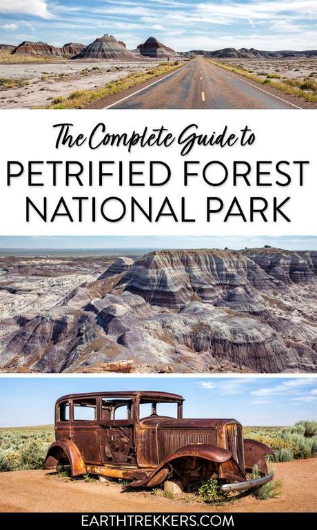 Petrified-Forest-Travel-Guide.jpg.optimal ▷ Parque Nacional del Bosque Petrificado: Guía e Itinerario de viaje
