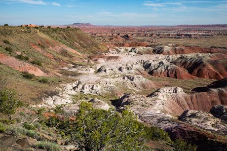 Tawa-Point.jpg.optimal ▷ Parque Nacional del Bosque Petrificado: Guía e Itinerario de viaje
