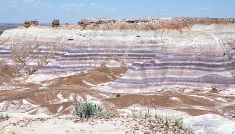 Things-to-do-in-Petrified-Forest.jpg.optimal ▷ Parque Nacional del Bosque Petrificado: Guía e Itinerario de viaje
