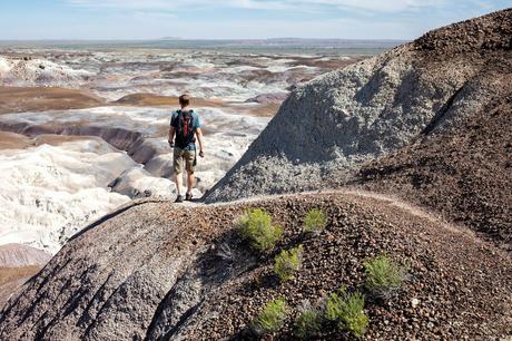 Petrified-Forest-Hike.jpg.optimal ▷ Parque Nacional del Bosque Petrificado: Guía e Itinerario de viaje
