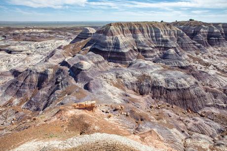 Petrified-Forest-National-Park.jpg.optimal ▷ Parque Nacional del Bosque Petrificado: Guía e Itinerario de viaje