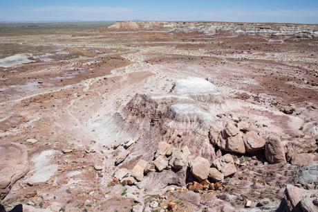 Jasper-Forest.jpg.optimal ▷ Parque Nacional del Bosque Petrificado: Guía e Itinerario de viaje