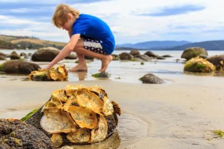 Viajar con niños alérgicos