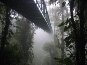 20 puentes más terroríficos del mundo