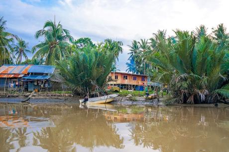 Houses-on-the-river-in-Kota-Belud-in-Borneo.jpg.optimal ▷ Atrapar luciérnagas no sentimientos en el río Kawa Kawa