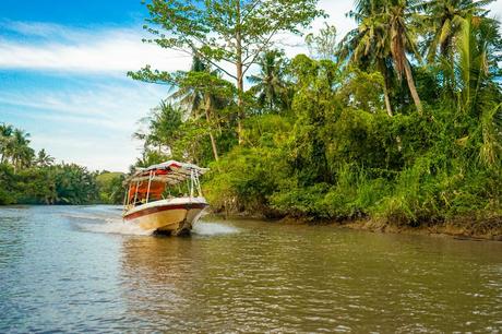 Boat-on-the-river-in-Kota-Belud-in-Borneo.jpg.optimal ▷ Atrapar luciérnagas no sentimientos en el río Kawa Kawa