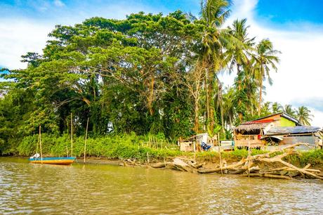 Home-on-the-river-in-Borneo.jpg.optimal ▷ Atrapar luciérnagas no sentimientos en el río Kawa Kawa