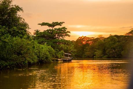 Sunset-in-the-Borneo-rainforest.jpg.optimal ▷ Atrapar luciérnagas no sentimientos en el río Kawa Kawa