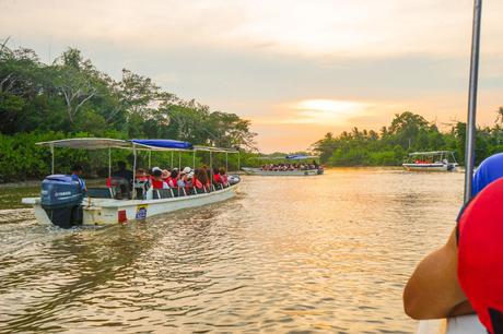 Tour-boats-on-the-river-in-Borneo.jpg.optimal ▷ Atrapar luciérnagas no sentimientos en el río Kawa Kawa