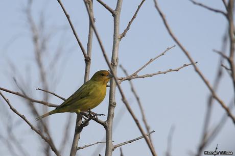 Por campos de Monte (25 de mayo de 2019)