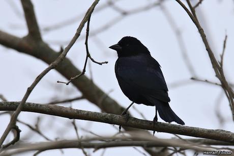 Por campos de Monte (25 de mayo de 2019)
