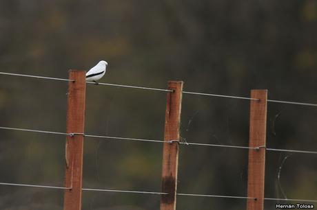 Por campos de Monte (25 de mayo de 2019)
