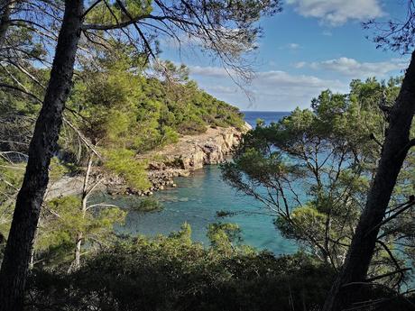 CALAS DE MENORCA: Mitjana,Trebuléger,Fustam y Escorxada.