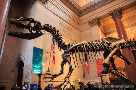 Nueva York en invierno: ¿Es recomendable? t-rex-en-el-museo-de-historia-natural-de-new-york Nueva York en invierno: ¿Es recomendable?