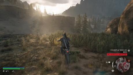 Days Gone paisaje