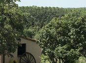 Cataluña para foodies: parte