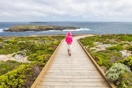 Admirals-Arch-kangaroo-island-south-australia-4 ▷ Comenta sobre lo más destacado del viaje de 4 días a la isla de Kangaroo por Laura