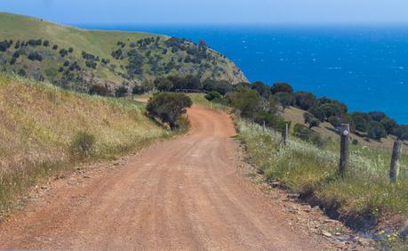 Western-River-Cove-kangaroo-island-south-australia-2 ▷ Comenta sobre lo más destacado del viaje de 4 días a la isla de Kangaroo por Laura