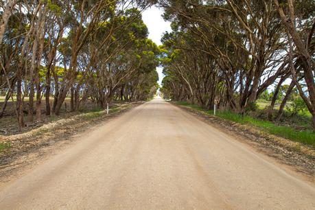 road-trip-kangaroo-island-south-australia-4 ▷ Comenta sobre lo más destacado del viaje de 4 días a la isla de Kangaroo por Laura