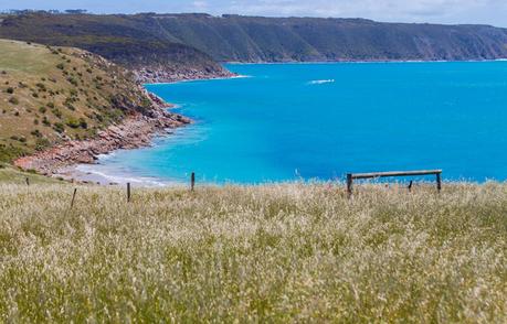 Zest-and-Thyme-Cafe-Dudley-Peninsula-kangaroo-island-south-australia ▷ Comenta sobre lo más destacado del viaje de 4 días a la isla de Kangaroo por Laura