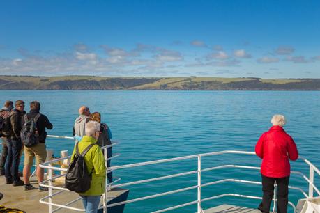 getting-to-Kangaroo-Island-Sealink-Ferry ▷ Comenta sobre lo más destacado del viaje de 4 días a la isla de Kangaroo por Laura
