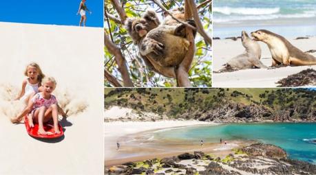 Highlights-Kangaroo-Island-Road-Trip-800-x-444 ▷ Comenta sobre lo más destacado del viaje de 4 días a la isla de Kangaroo por Laura