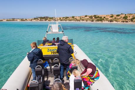 Marine-Adventures-kangaroo-island-south-australia-4 ▷ Comenta sobre lo más destacado del viaje de 4 días a la isla de Kangaroo por Laura