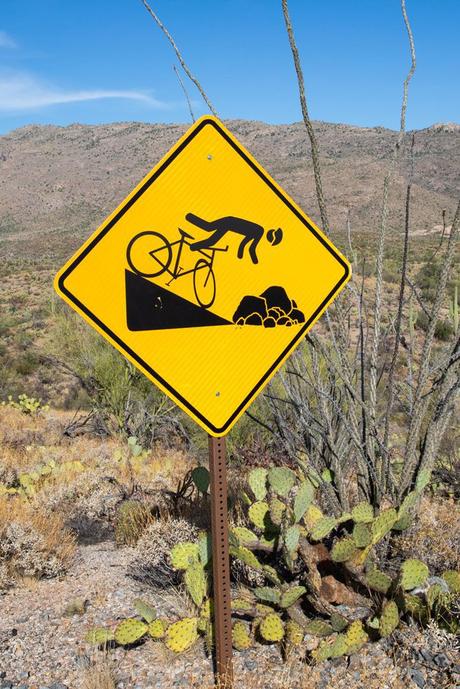 Yikes.jpg.optimal ▷ 8 cosas increíbles que hacer en el Parque Nacional Saguaro