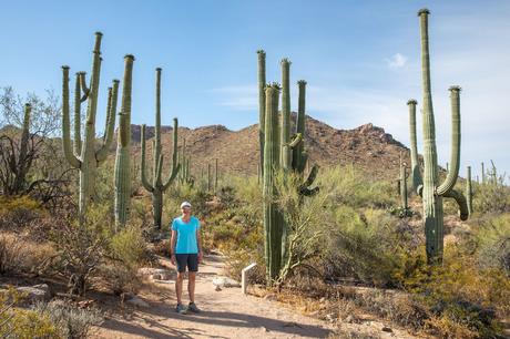 Julie-in-Saguaro.jpg.optimal ▷ 8 cosas increíbles que hacer en el Parque Nacional Saguaro