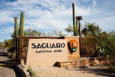 Saguaro-National-Park-Sign.jpg.optimal ▷ 8 cosas increíbles que hacer en el Parque Nacional Saguaro