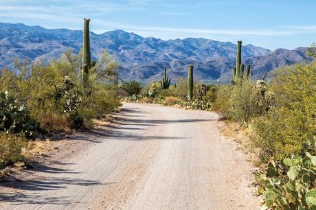 Saguaro-Road.jpg.optimal ▷ 8 cosas increíbles que hacer en el Parque Nacional Saguaro