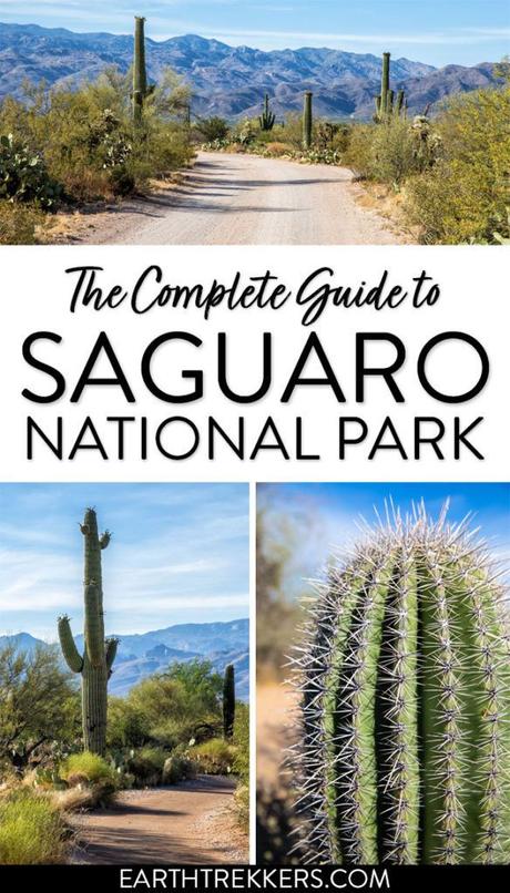 Saguaro-National-Park-Guide-584x1024.jpg.optimal ▷ 8 cosas increíbles que hacer en el Parque Nacional Saguaro