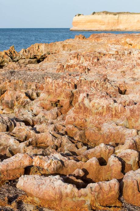 kangaroo-island-south-australia-5 ▷ Comenta lo más destacado del viaje de 4 días a la isla de Kangaroo por Caz